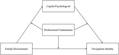 How is occupational identity affected by the family environment of publicly funded students in local normal colleges? A moderated mediation model